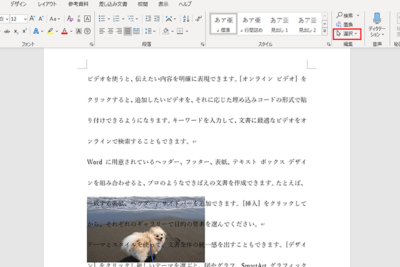⛔ Wordで選択できない時の対処法!編集できない問題を解決 11 e29b94 worde381a7e981b8e68a9ee381a7e3818de381aae38184e69982e381aee5afbee587a6e6b395efbc81e7b7a8e99b86e381a7e3818de381aae38184e5958f